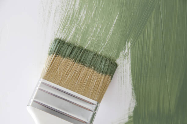 Trusted Somerville, MA Mold Removal Experts