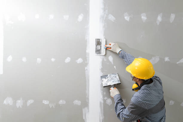 Best Asbestos and Lead Testing During Mold Inspection  in Somerville, MA